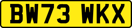 BW73WKX