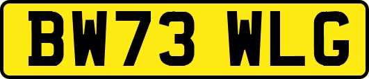 BW73WLG