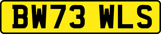 BW73WLS