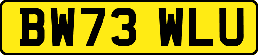 BW73WLU