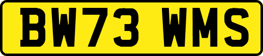 BW73WMS