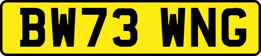 BW73WNG