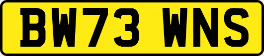 BW73WNS