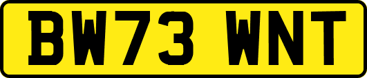 BW73WNT