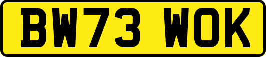 BW73WOK