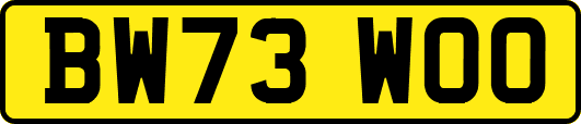BW73WOO