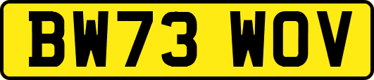 BW73WOV