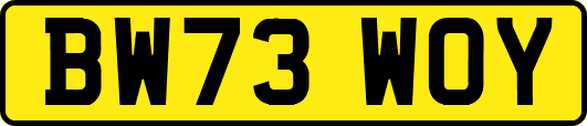 BW73WOY