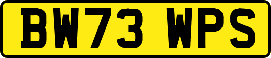 BW73WPS