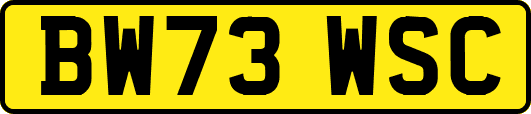 BW73WSC