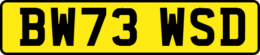 BW73WSD