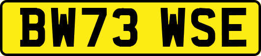 BW73WSE