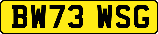 BW73WSG