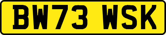 BW73WSK