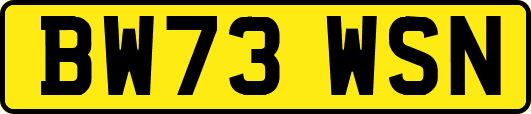 BW73WSN
