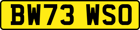 BW73WSO