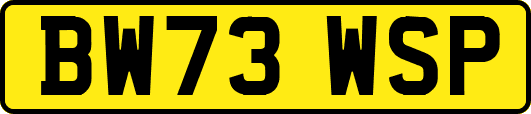 BW73WSP