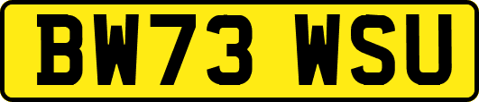 BW73WSU