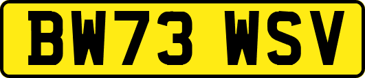 BW73WSV