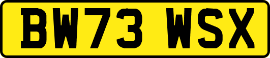 BW73WSX