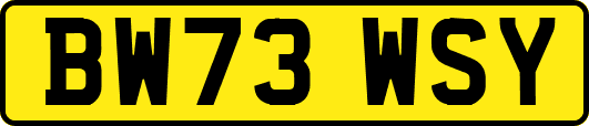 BW73WSY
