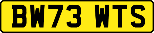 BW73WTS
