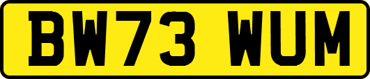 BW73WUM