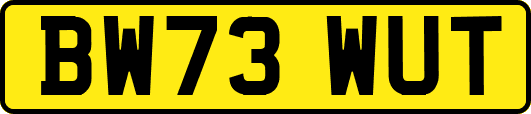 BW73WUT