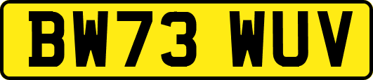 BW73WUV