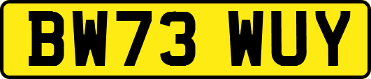BW73WUY