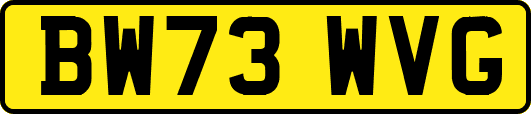 BW73WVG