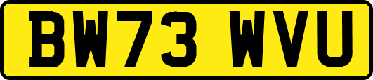 BW73WVU