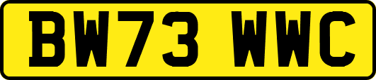 BW73WWC