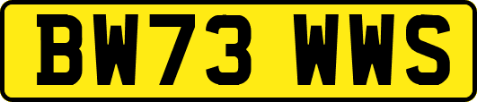 BW73WWS