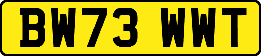 BW73WWT