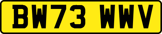 BW73WWV