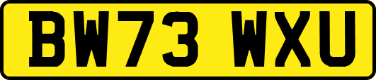 BW73WXU