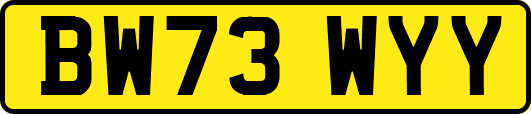 BW73WYY