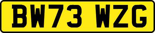 BW73WZG
