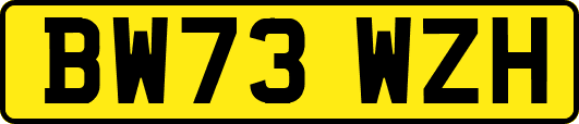 BW73WZH