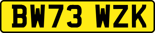BW73WZK
