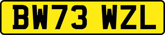 BW73WZL
