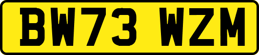 BW73WZM