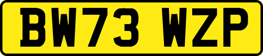 BW73WZP