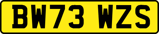 BW73WZS