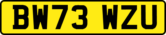 BW73WZU