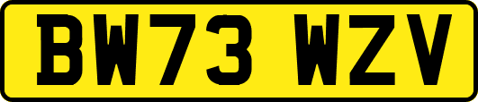 BW73WZV