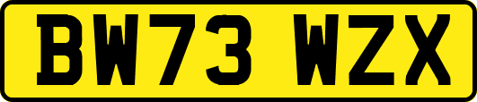 BW73WZX