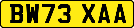 BW73XAA