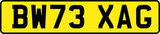BW73XAG